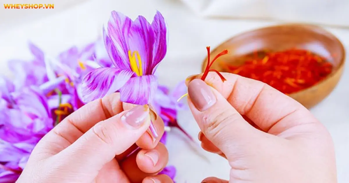 bat-ngo-ve-tac-dung-cua-nhuy-hoa-nghe-tay-voi-dan-ong-4