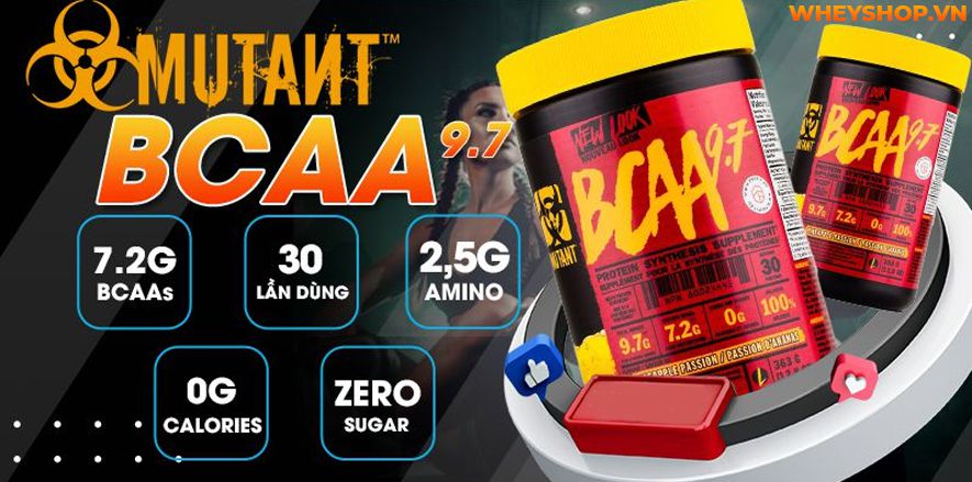 Nếu bạn đang băn khoăn chưa rõ Mutant BCAA vị nào ngon thì hãy cùng WheyShop tìm hiểu chi tiết về hương vị của Mutant BCAA ngay nhé...