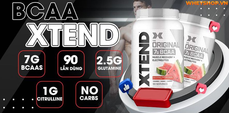 Nếu bạn đang tìm hiểu và muốn sử dụng Xtend BCAA nhưng vẫn chưa biết BCAA Xtend vị nào ngon thì hãy cùng WheyShop tham khảo bài viết...
