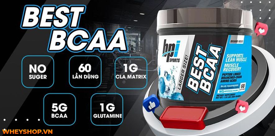 Nếu bạn đang băn khoăn không rõ dùng BCAA tăng cơ giảm mỡ có tốt không hay bị mập thì hãy cùng WheyShop tham khảo bài viết ngay nhé...