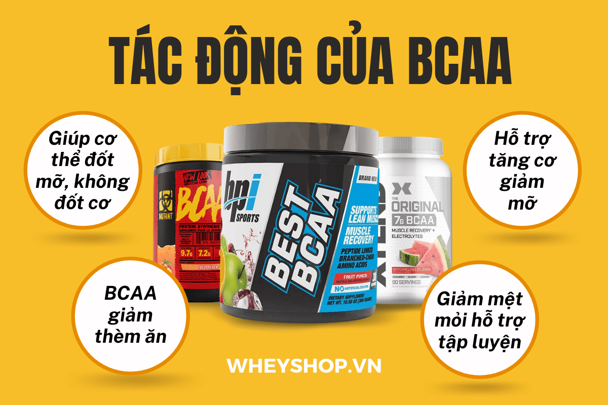 BCAA là một trong những sản phẩm quen thuộc của người tập gym, thể hình. Hãy cùng chúng tôi tìm hiểu 3 lý do để khẳng định BCAA đốt mỡ...