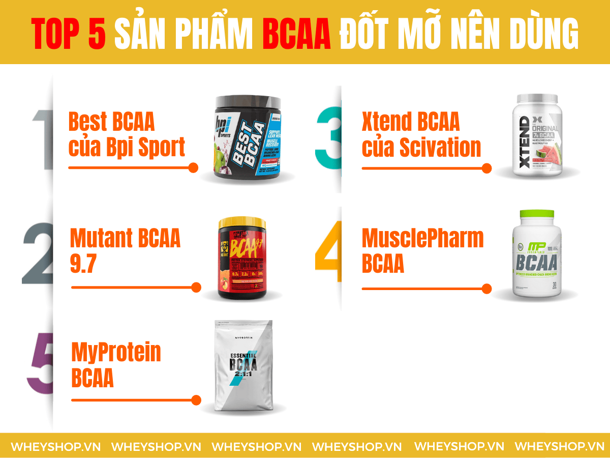 BCAA là một trong những sản phẩm quen thuộc của người tập gym, thể hình. Hãy cùng chúng tôi tìm hiểu 3 lý do để khẳng định BCAA đốt mỡ...
