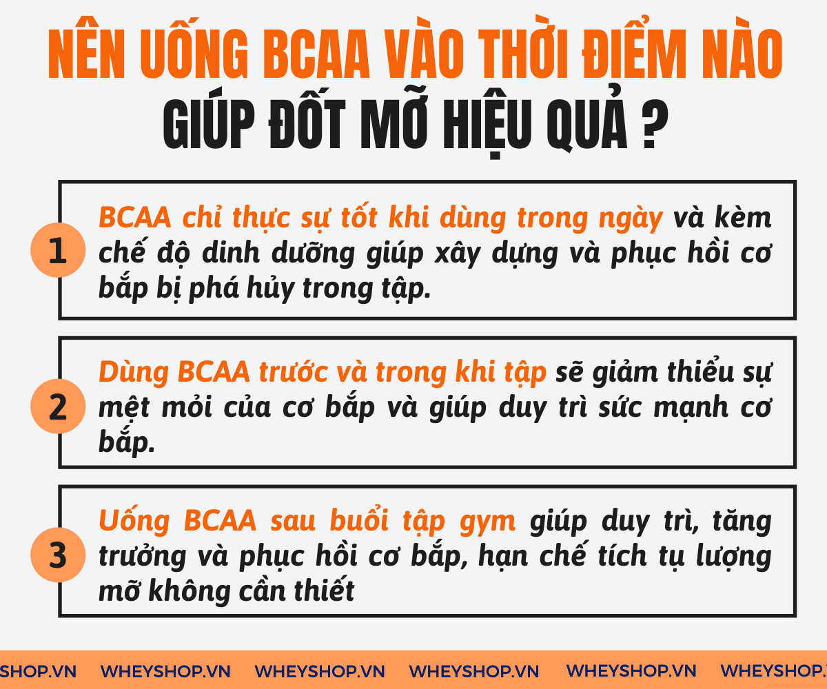 BCAA là một trong những sản phẩm quen thuộc của người tập gym, thể hình. Hãy cùng chúng tôi tìm hiểu 3 lý do để khẳng định BCAA đốt mỡ...