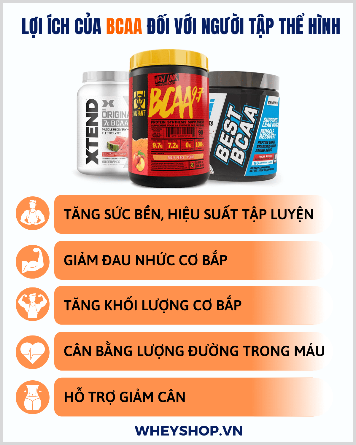BCAA giá bao nhiêu? BCAA là một trong những thực phẩm bổ sung tốt nhất cho những người tập thể hình. Hãy cùng WheyShop tìm hiểu qua bài viết...