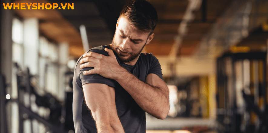 BCAA giá bao nhiêu? BCAA là một trong những thực phẩm bổ sung tốt nhất cho những người tập thể hình. Hãy cùng WheyShop tìm hiểu qua bài viết...
