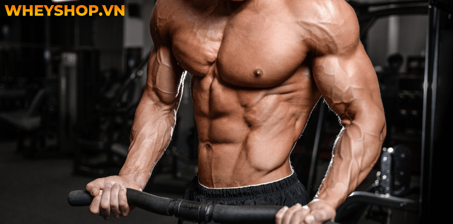 BCAA giá bao nhiêu? BCAA là một trong những thực phẩm bổ sung tốt nhất cho những người tập thể hình. Hãy cùng WheyShop tìm hiểu qua bài viết...