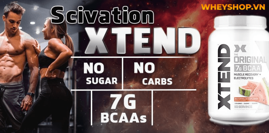 BCAA giá bao nhiêu? BCAA là một trong những thực phẩm bổ sung tốt nhất cho những người tập thể hình. Hãy cùng WheyShop tìm hiểu qua bài viết...