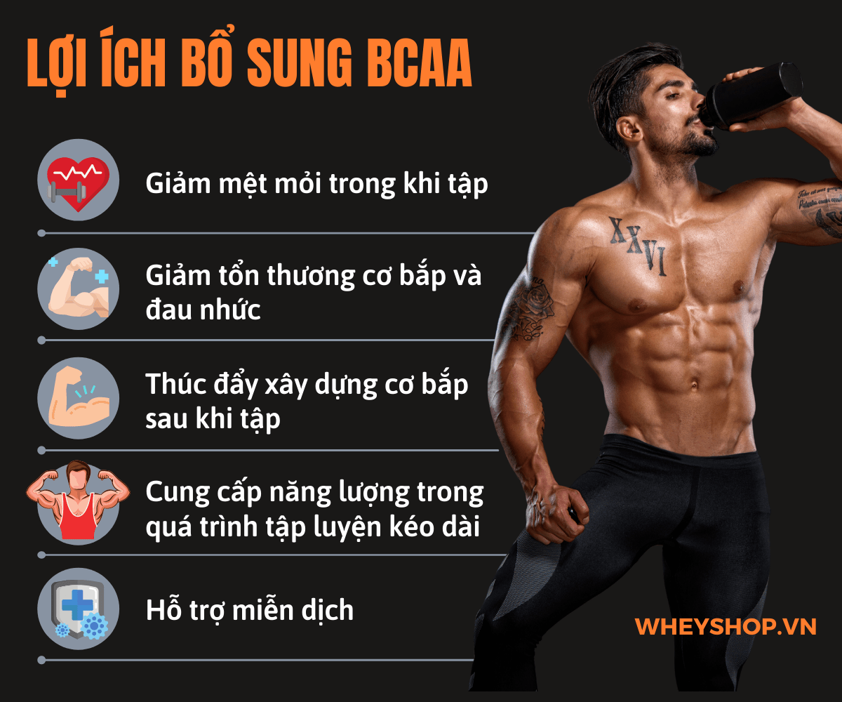 Nếu bạn đang băn khoăn chưa biết BCAA uống khi nào hợp lý và hiệu quả thì hãy cùng WheyShop tham khảo chi tiết bài viết...