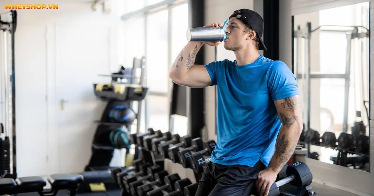 beta-alanine-la-gi-4