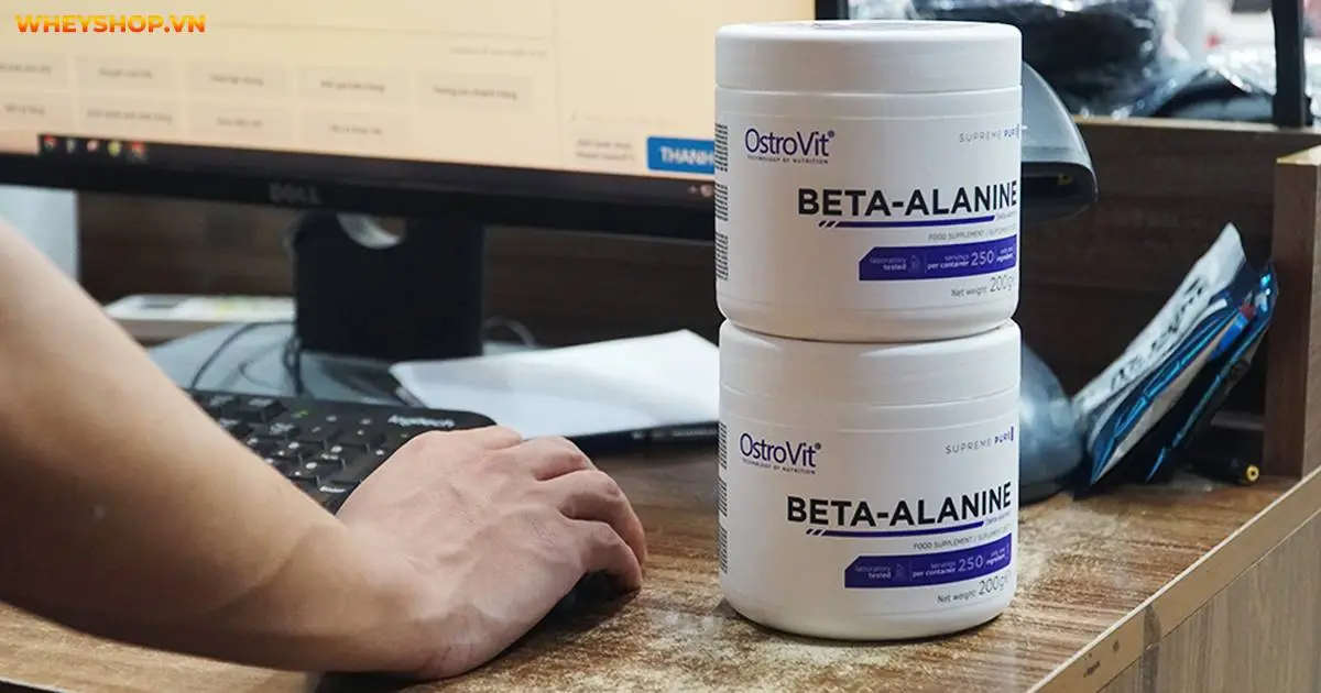 beta-alanine-la-gi-4