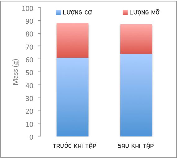 huyết áp cao có tập gym được không