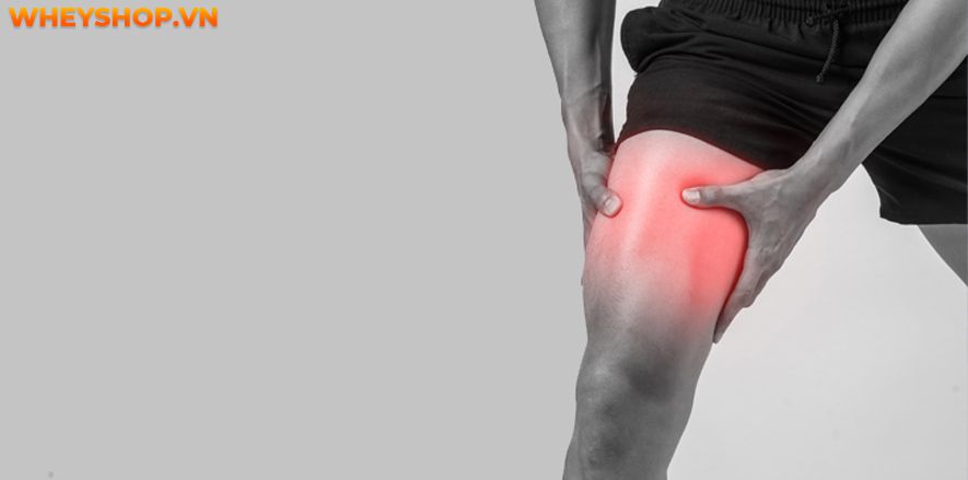 Tại sao lại bị đau cơ sau khi tập gym và bị đau cơ sau khi tập gym bạn nên làm gì? Cùng WheyShop tìm hiểu cách giảm đau sau khi tập gym qua bài...
