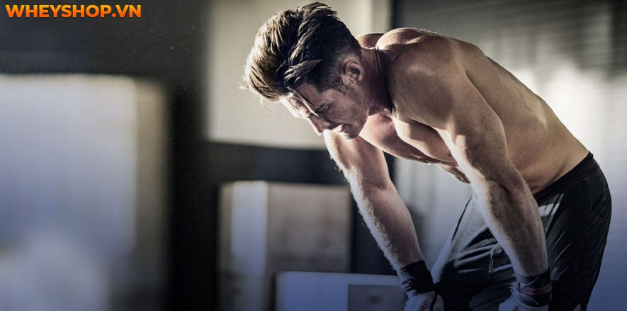 Tại sao lại bị đau cơ sau khi tập gym và bị đau cơ sau khi tập gym bạn nên làm gì? Cùng WheyShop tìm hiểu cách giảm đau sau khi tập gym qua bài...