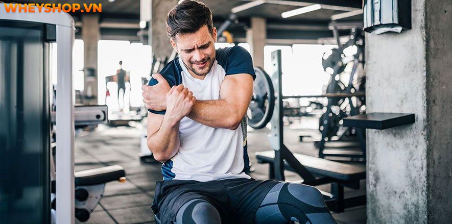 Tại sao lại bị đau cơ sau khi tập gym và bị đau cơ sau khi tập gym bạn nên làm gì? Cùng WheyShop tìm hiểu cách giảm đau sau khi tập gym qua bài...