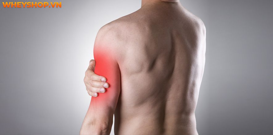 Tại sao lại bị đau cơ sau khi tập gym và bị đau cơ sau khi tập gym bạn nên làm gì? Cùng WheyShop tìm hiểu cách giảm đau sau khi tập gym qua bài...