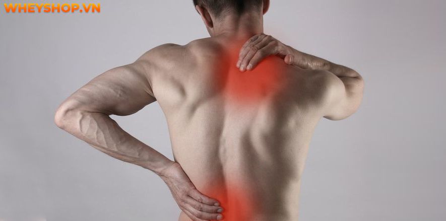 Tại sao lại bị đau cơ sau khi tập gym và bị đau cơ sau khi tập gym bạn nên làm gì? Cùng WheyShop tìm hiểu cách giảm đau sau khi tập gym qua bài...