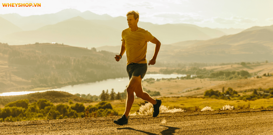 Bên cạnh điều trị thuốc, người bệnh cần phải vận động cơ thể để hạn chế tái phát bệnh gút. Hãy cùng WheyShop tìm hiểu Bị gút có nên chạy bộ?