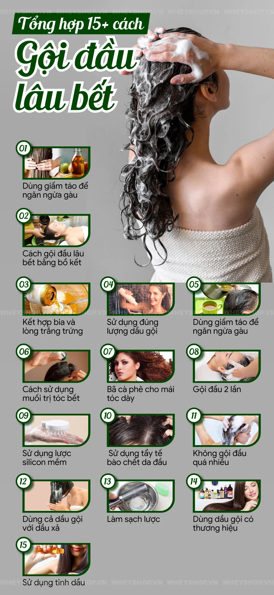 Cách gội đầu cũng là 1 yếu tố ảnh hưởng đến mái tóc. Rất nhiều chị em sau khi gội đầu tóc bông xù và nhiều dầu. WheyShop giới thiệu 15+ cách gội đầu lâu bết...
