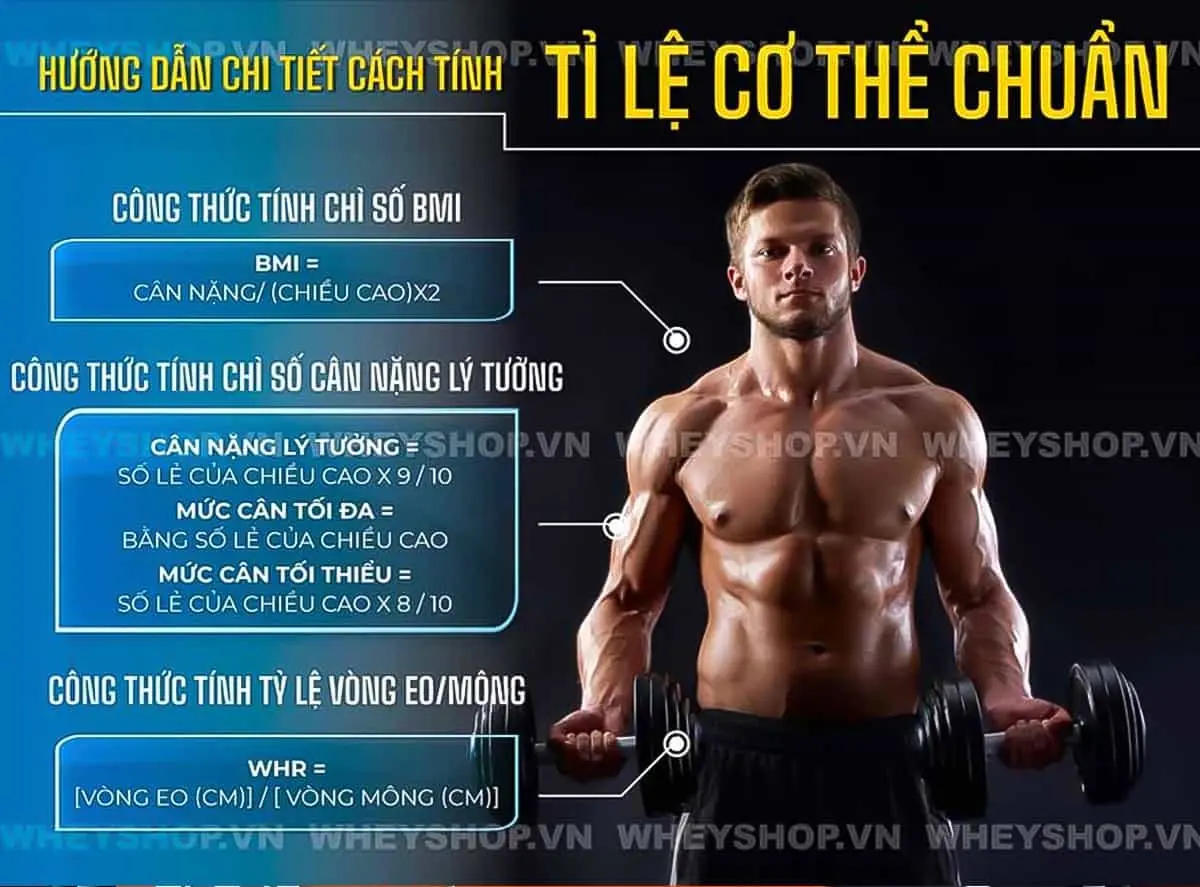 bi-quyet-tinh-ti-le-co-the-chuan-la-gi-2