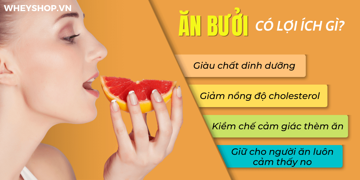 Bạn đã bao giờ nghe đến cách ăn bưởi giảm cân chưa? Và ăn bưởi giảm cân có hiệu quả không? Những thông tin được trình bày trong bài viết này, WheyShop sẽ...