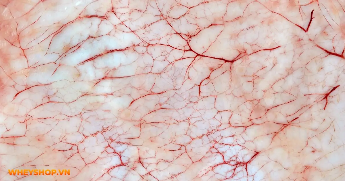 bi-vo-mach-mau-duoi-da-03-min