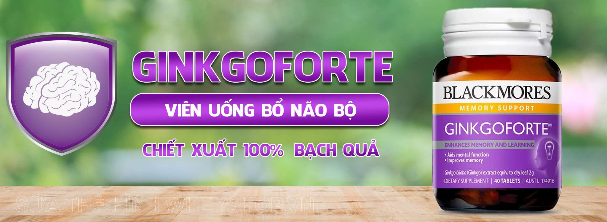 Blackmores Ginkgoforte 40 vien gia re ha noi tphcm