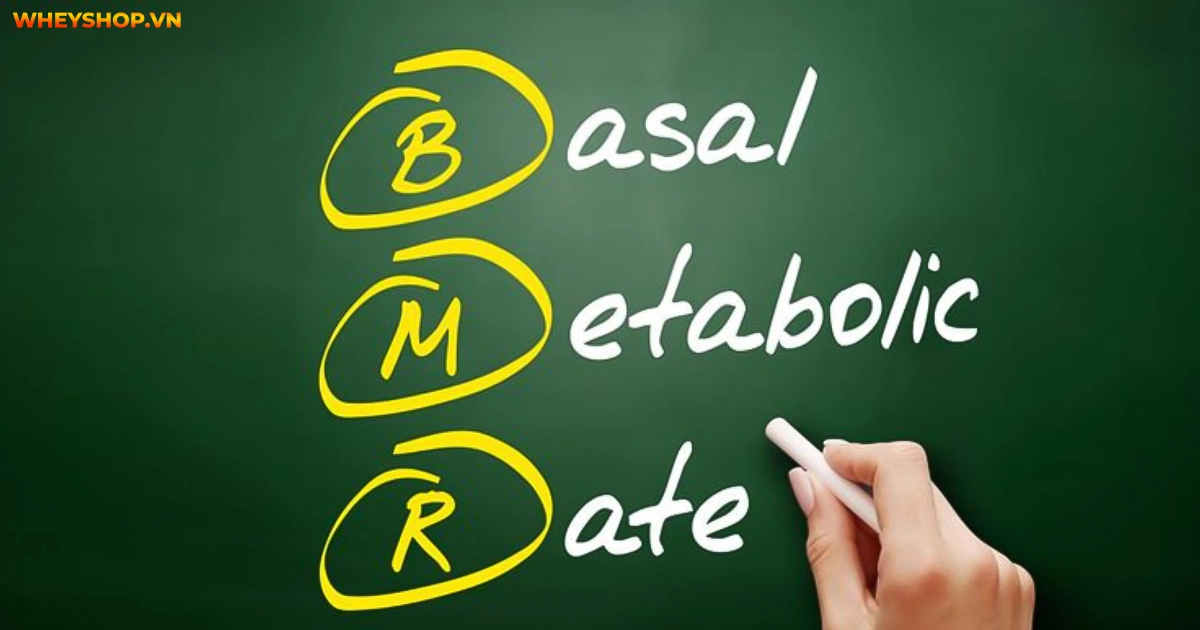 bmr-la-gi-y-nghia-cua-bmr-trong-viec-giam-can(3)