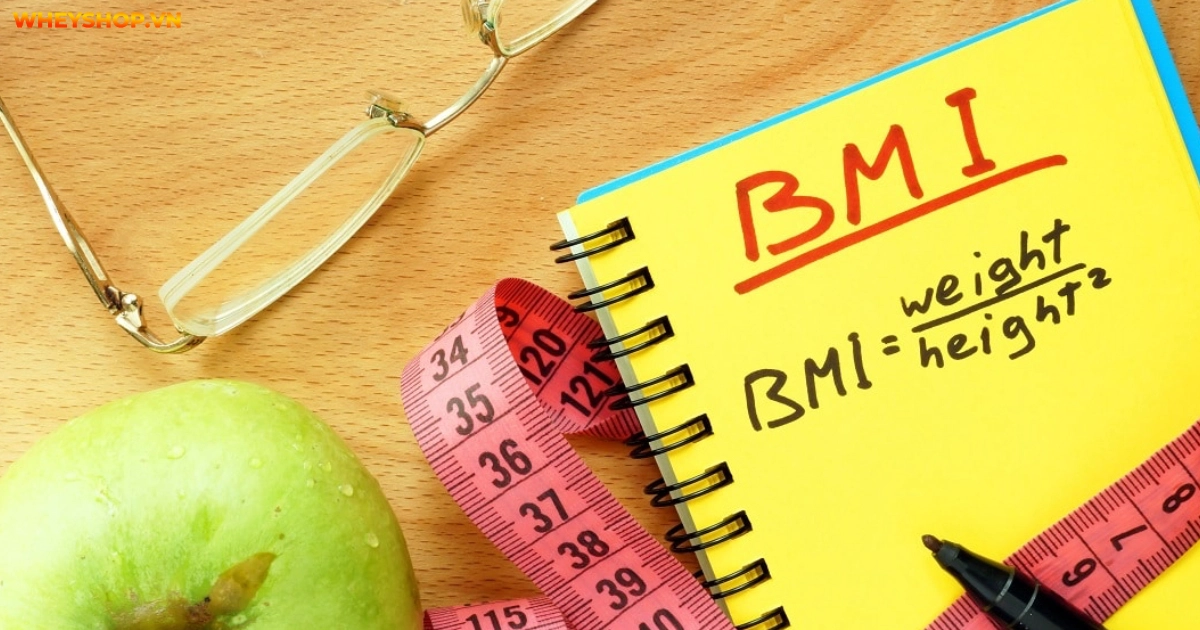 bmr-la-gi-y-nghia-cua-bmr-trong-viec-giam-can(3)