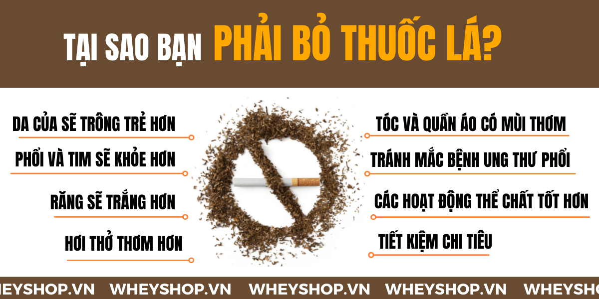 Nếu bạn đang thắc mắc bỏ thuốc lá có tăng cân không thì hãy cùng WheyShop tham khảo chi tiết bài viết ngay sau đây nhé...