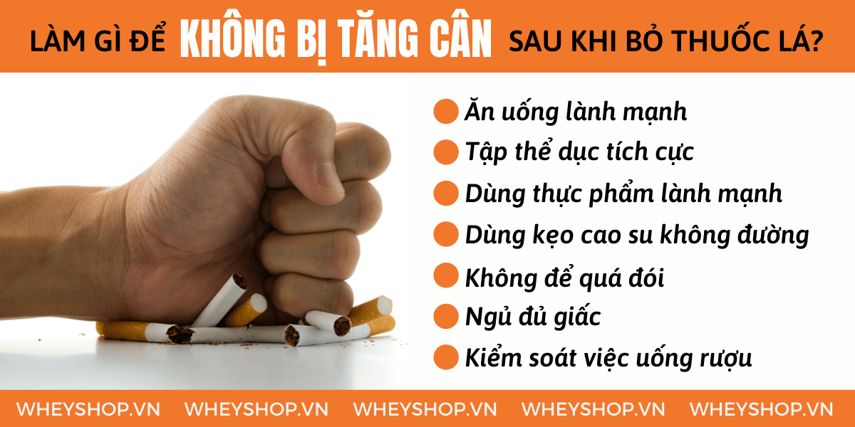 Nếu bạn đang thắc mắc bỏ thuốc lá có tăng cân không thì hãy cùng WheyShop tham khảo chi tiết bài viết ngay sau đây nhé...