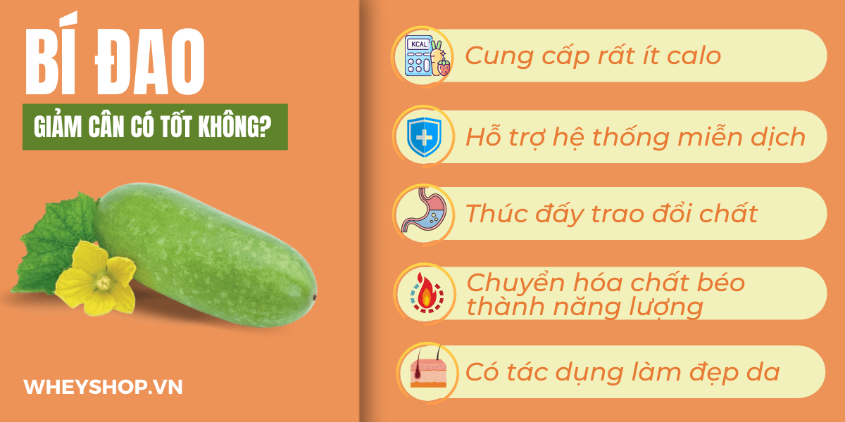 Nếu bạn đang băn khoăn trong việc sử dụng bí đao giảm cân có hiệu quả không thì hãy cùng WheyShop tham khảo chi tiết bài viết ngay sau đây...