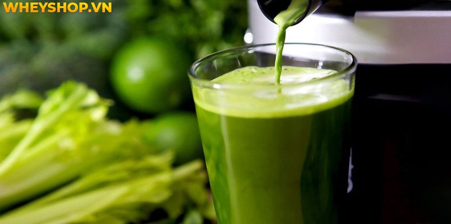 Nếu bạn đang băn khoăn trong việc sử dụng bí đao giảm cân có hiệu quả không thì hãy cùng WheyShop tham khảo chi tiết bài viết ngay sau đây...