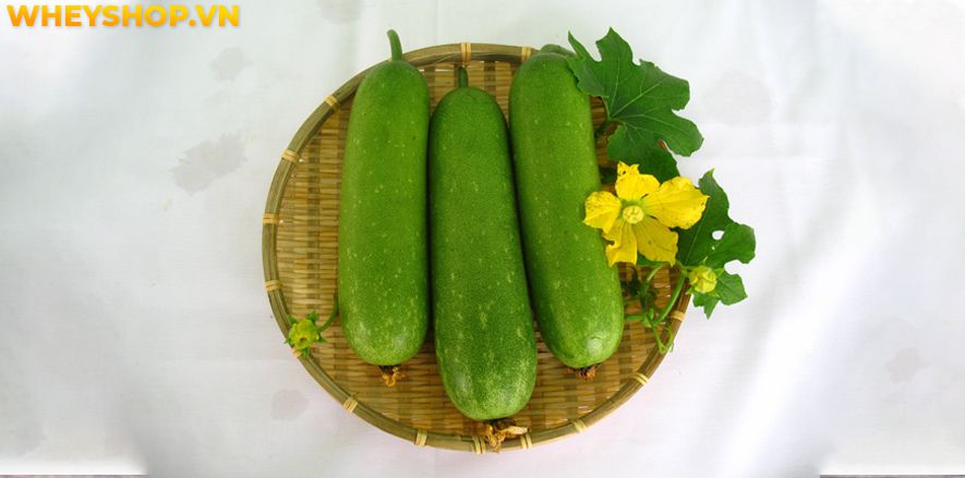Nếu bạn đang băn khoăn trong việc sử dụng bí đao giảm cân có hiệu quả không thì hãy cùng WheyShop tham khảo chi tiết bài viết ngay sau đây...