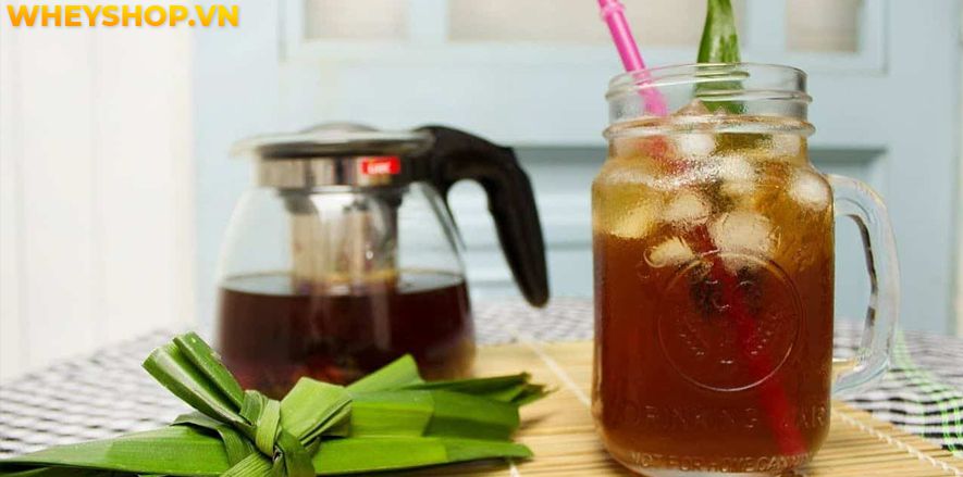 Nếu bạn đang băn khoăn trong việc sử dụng bí đao giảm cân có hiệu quả không thì hãy cùng WheyShop tham khảo chi tiết bài viết ngay sau đây...