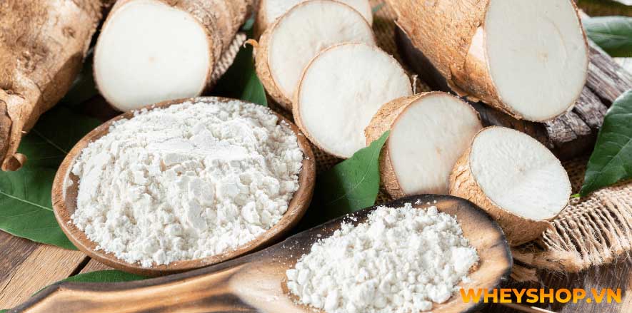 Nếu bạn đang băn khoăn trong việc tìm cách giảm cân bằng mật ong hiệu quả thì hãy cùng WheyShop tham khảo những gợi ý cách giảm cân bằng mật ong đơn giản tại...