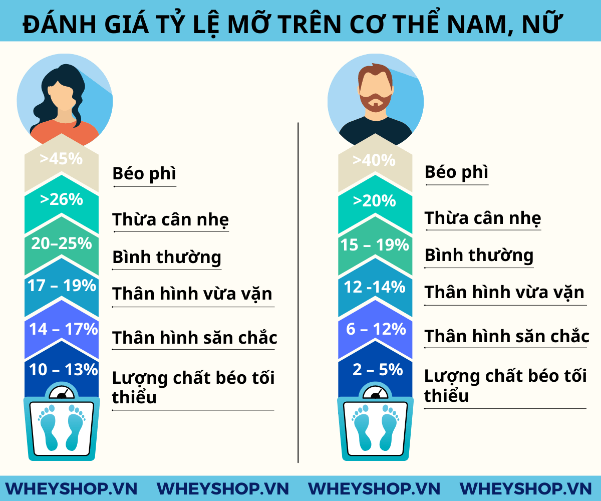 Body fat là gì và công thức tính body fat sao cho chuẩn...Body fat - mỡ cơ thể: là một thành phần phức tạp...gọi là BodyMetrix...