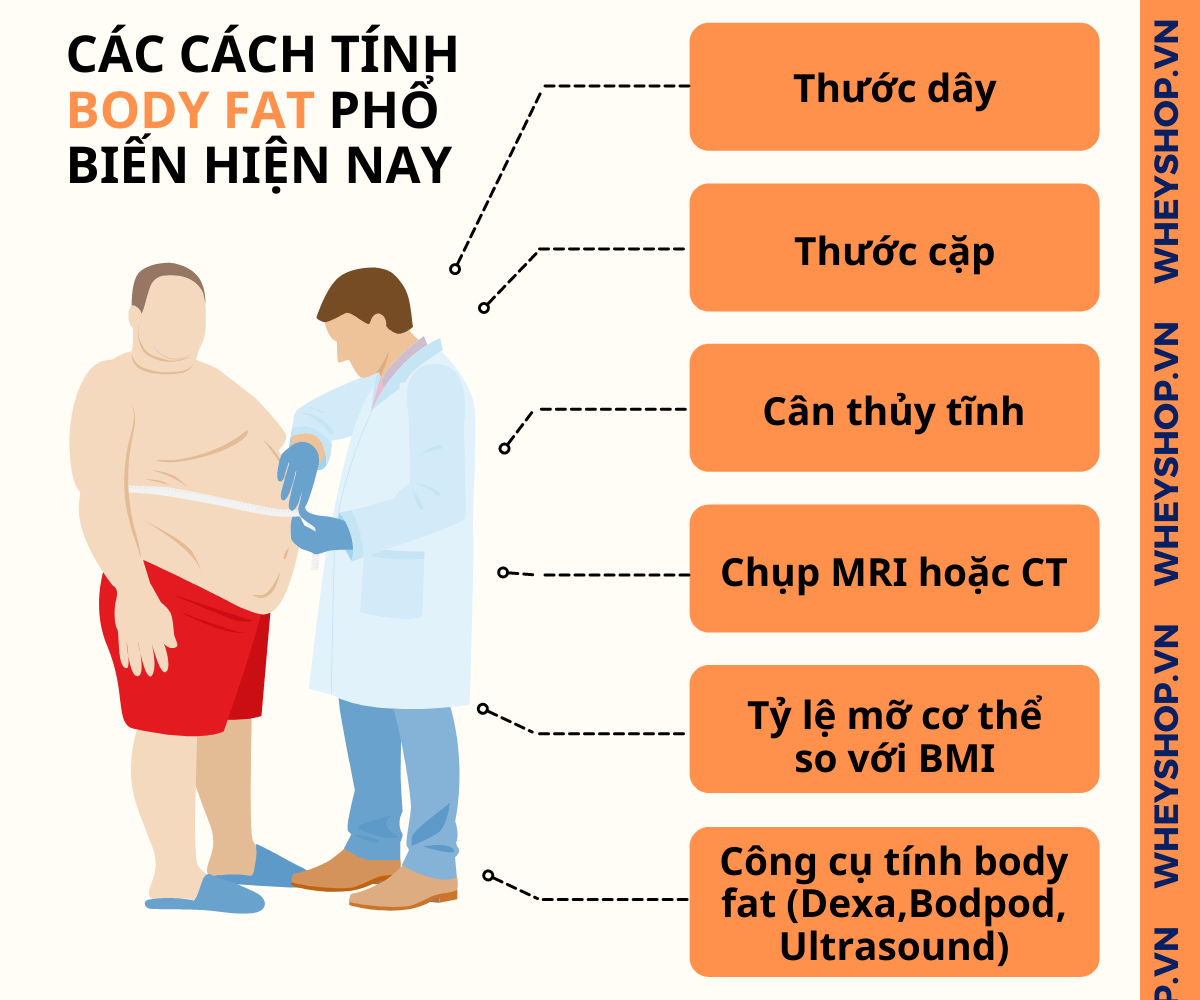 Body fat là gì và công thức tính body fat sao cho chuẩn...Body fat - mỡ cơ thể: là một thành phần phức tạp...gọi là BodyMetrix...