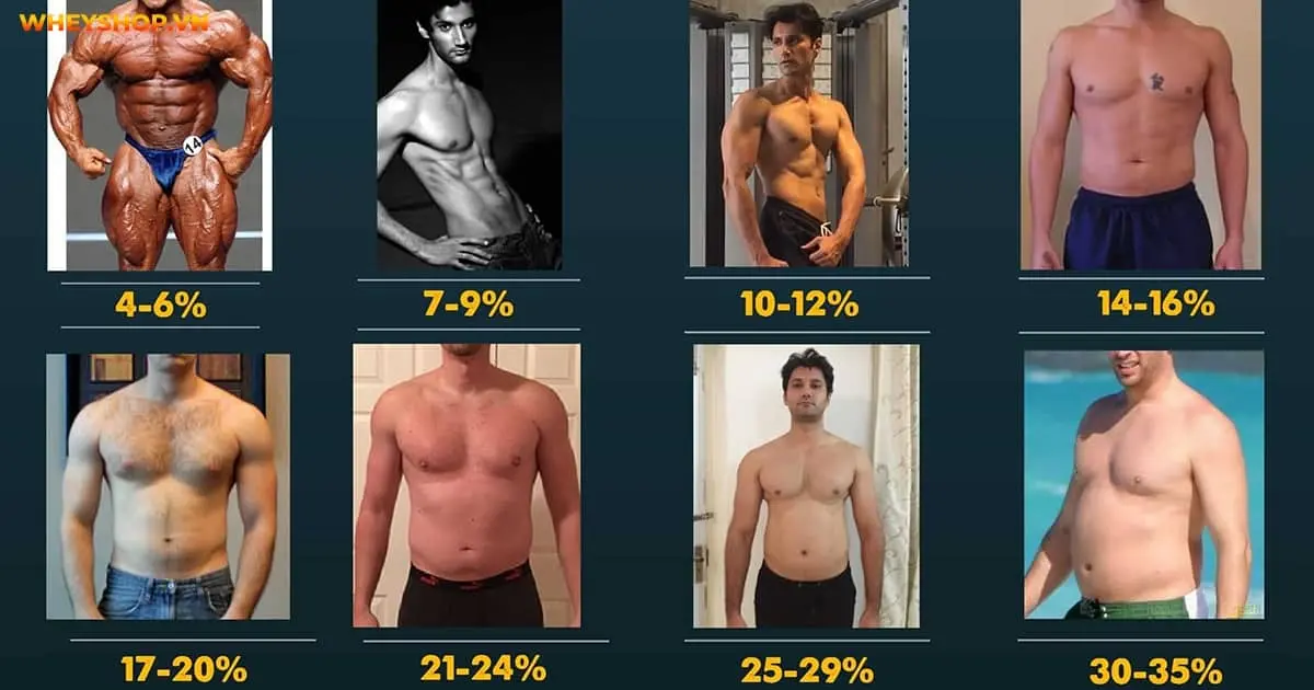 body-fat-la-gi-3