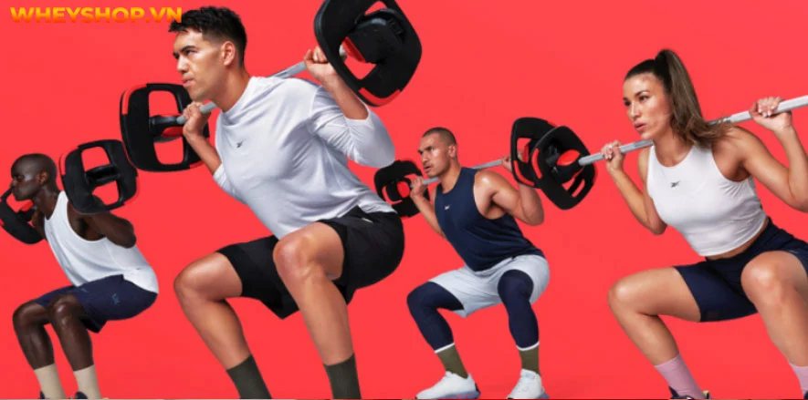Body Pump là gì? Làm thế nào Body Pump đúng cách để đạt hiệu quả tốt nhất? Nếu bạn đang tìm hiểu về thể hình và thắc mắc Body Pump là gì, hãy cùng theo dõi...