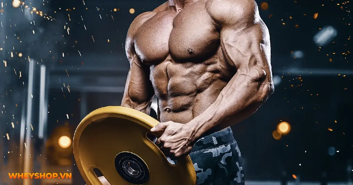 bodybuilding-la-gi-nhung-loi-ich-cua-bodybuilding-04-min