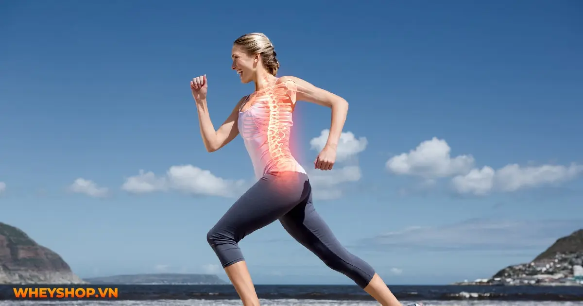 bodybuilding-la-gi-nhung-loi-ich-cua-bodybuilding-04-min