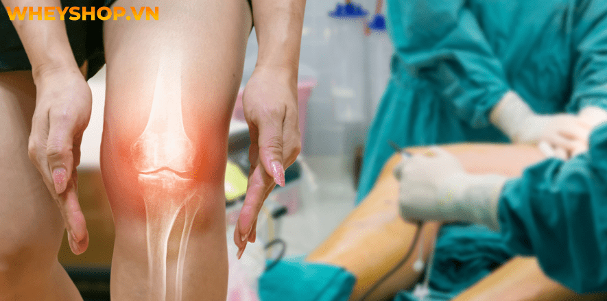Bơi bướm là một trong những kỹ thuật bơi quan trọng mà mọi vận động viên bơi lội nên luyện tập thành thạo. Bài viết dưới đây WheyShop sẽ giúp các bạn hiểu...