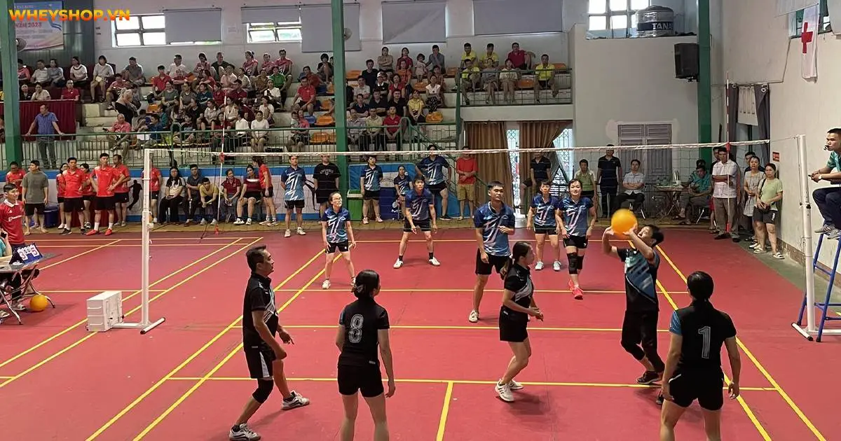 bong-chuyen-hoi-la-gi-luat-bong-chuyen-hoi-tieu-chuan-viet-nam-4