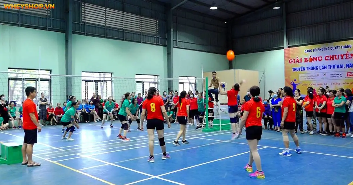 bong-chuyen-hoi-la-gi-luat-bong-chuyen-hoi-tieu-chuan-viet-nam-4