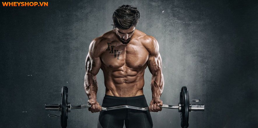 Bột protein có nguồn gốc thực vật là chất dinh dưỡng rất quan trọng đối với cơ thể, bổ sung nguồn protein thiết yếu cho người ăn chay. Vậy bột protein thực...