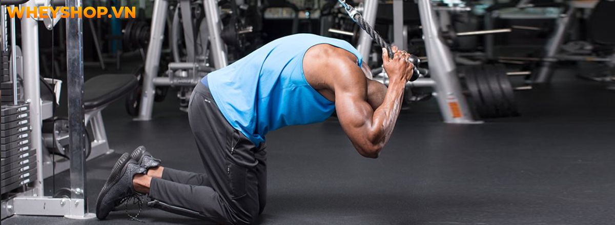 Nếu bạn đang băn khoăn trong việc bắt đầu tập gym nam thì hãy cùng tham khảo cùng WheyShop hướng dẫn tập gym nam cơ bản A-Z ngay nhé..