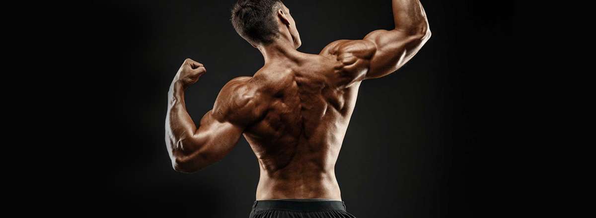 cable row la gi loi ich cua bai tap cable row loi ich