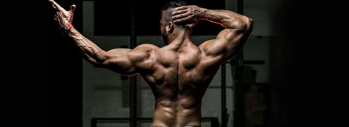 cable row la gi loi ich cua bai tap cable row