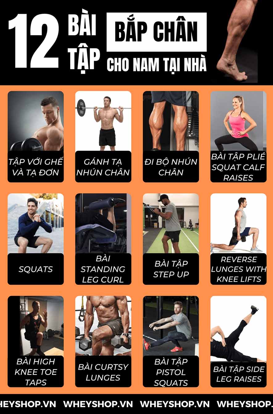 Nếu bạn đang tìm bài tập bắp chân cho nam tại nhà hiệu quả thì hãy cùng WheyShop tham khảo chi tiết 12 bài tập bắp chân cho nam tại nhà qua bài...