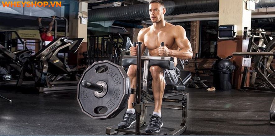 Nếu bạn đang tìm bài tập bắp chân cho nam tại nhà hiệu quả thì hãy cùng WheyShop tham khảo chi tiết 12 bài tập bắp chân cho nam tại nhà qua bài...